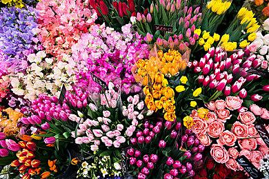 《Oddsparks》1月16日发布Steam试玩 古怪创意制作工坊